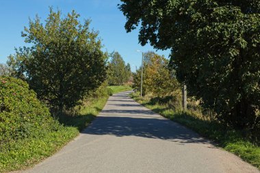 Ağaçlarla çevrili asfalt yol manzarası.