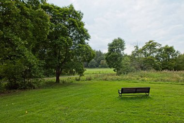 Yazın bulutlu gökyüzü olan park bankında.