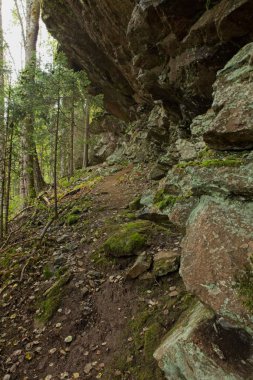 Ormandaki kaya oluşumunun manzarası.