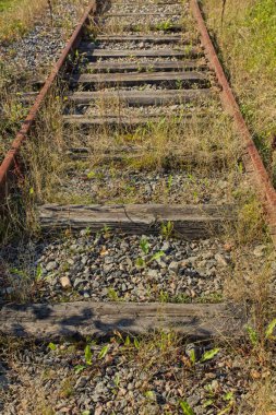 Eski terk edilmiş tren rayları yabani otlarla kaplanmış..