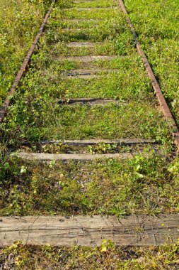 Eski terk edilmiş paslı demiryolu rayları, üzerinde yabani otlar var..