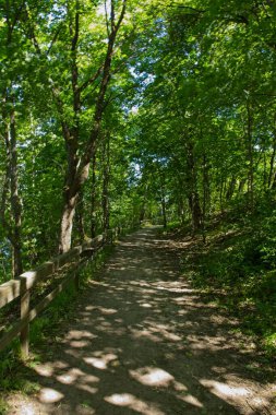 Yazın ahşap korkuluklu orman yolu, Ruutinkoski, Helsinki, Finlandiya.