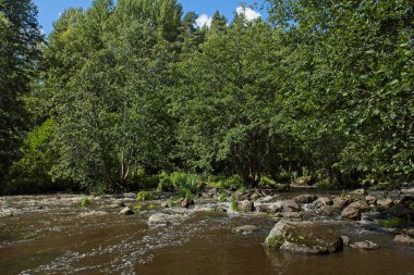 Rapids of Nukarinkoski with rocks in stream in summer, Nukari, Nurmijrvi, Finland. clipart