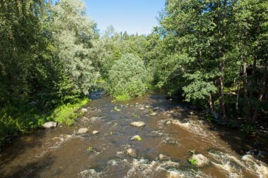 Rapids of Nukarinkoski with rocks in stream in sunny summer weather, Nukari, Nurmijrvi, Finland. clipart