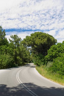 İlkbaharda Filerimos Dağı, Rodos, Yunanistan 'da ormanla çevrili bir dağda yol..