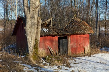 Kışın eski bir ahırın çatısına çökerken yerde kar vardı, Pickala, Finlandiya.