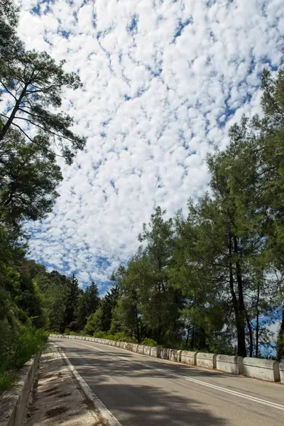 Felfelé Egy Hegyen Erdő Körül Tavasszal Mount Filerimos Rhodes Görögország — Stock Fotó