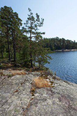 Finlandiya 'nın açık yaz havasında, Keistio adasında kayalık kıyı şeridi.