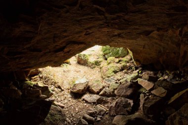 Yazın kayalık girişi olan küçük bir orman mağarası..