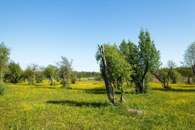 Jungfruskar, Archipelago Ulusal Parkı, Finlandiya manzarası.