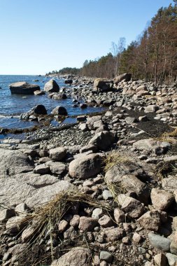 Finlandiya 'nın Varlaxudden bölgesinde kayalık deniz manzarası.