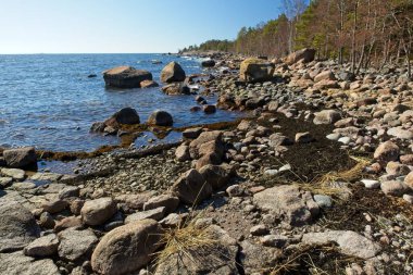 Finlandiya 'nın Varlaxudden bölgesinde kayalık deniz manzarası.