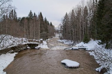 Bulutlu kış havasında nehir manzarası.