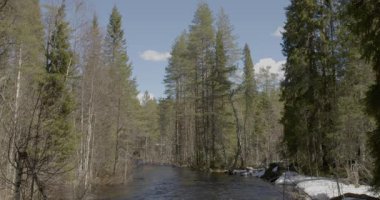 Lounatkoski 'de akan nehir güneşli bahar havasında, Hossa, Suomussalmi, Finlandiya.