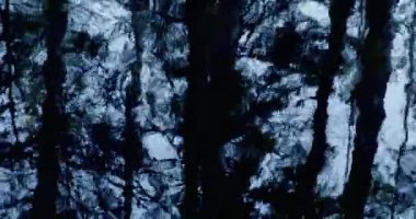 Su yüzeyinde akan dalgaların ağaç yansımalarının soyut yakın plan görüntüsü.