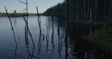 Sonbaharda Komio Doğa Koruma Alanı 'nda göl manzarası, Loppi, Finlandiya.