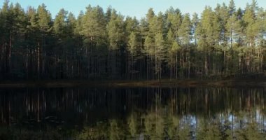 Sonbaharda su yüzeyindeki ağaçların yansımaları ile birlikte Makkaralammi göleti manzarası, Rayskala, Finlandiya.