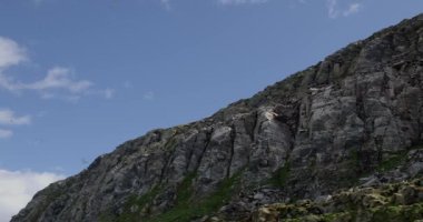  Yazın Hornoya, Norveç 'teki kuş adasında uçan kuşların olduğu uçurumun manzarası.