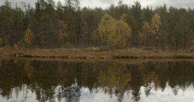 Suomujoki nehrinin sonbaharda Aittajarvi Gölü, Urho Kekkonen Ulusal Parkı, Saariselka, Lapland, Finlandiya.