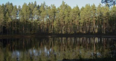 Sonbaharda su yüzeyindeki ağaçların yansımalarıyla Makkaralammi göleti manzarası, Rayskala, Finlandiya.