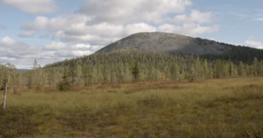 Düşen Kellostapuli 'nin sonbaharında manzara manzarası ve Akaslompolo, Lapland, Finlandiya' daki yosunlar, ağaçlar ve dağlarla Keskinenlaki 'ye düştü..