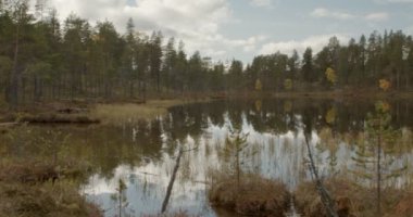 Sonbaharda Urho Kekkonen Ulusal Parkı, Saariselka, Lapland, Finlandiya 'da gölet manzarası.