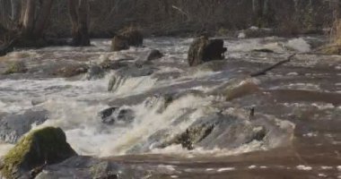 Nukarinkoski 'nin sonbaharda Nukari, Nurmijarvi, Finlandiya' da Vantaanjoki nehri üzerindeki akıntılarının görüntüsü.