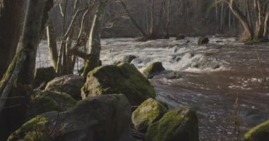 Nukarinkoski 'nin sonbaharda Nukari, Nurmijarvi, Finlandiya' da Vantaanjoki nehri üzerindeki akıntılarının görüntüsü.