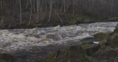 Nukarinkoski 'nin sonbaharda Nukari, Nurmijarvi, Finlandiya' da Vantaanjoki nehri üzerindeki akıntılarının görüntüsü.