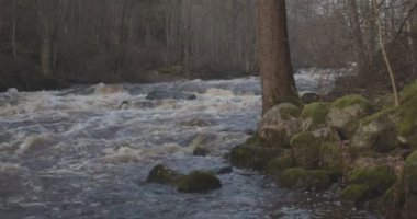 Nukarinkoski 'nin sonbaharda Nukari, Nurmijarvi, Finlandiya' da Vantaanjoki nehri üzerindeki akıntılarının görüntüsü.