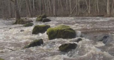 Nukarinkoski 'nin sonbaharda Nukari, Nurmijarvi, Finlandiya' da Vantaanjoki nehri üzerindeki akıntılarının yakın görüntüsü.
