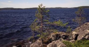 İlkbaharda Haukkasalo, Paijanne Ulusal Parkı, Finlandiya 'da göl ve ağaçların manzarası.