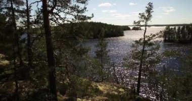 İlkbaharda Haukkasalo, Paijanne Ulusal Parkı, Finlandiya 'da göl ve ağaçların manzarası.