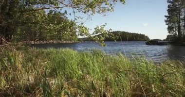 Baharda Lietsaari, Paijanne Ulusal Parkı, Finlandiya 'da gölün, sazlıkların ve ağaçların manzarası.