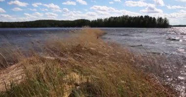 İlkbaharda Iso Lammassaari, Paijanne Ulusal Parkı, Finlandiya 'da göl ve sazlıkların manzarası.