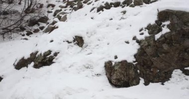 Kışın kar yavaşça yağan karla kaplı kayalar..