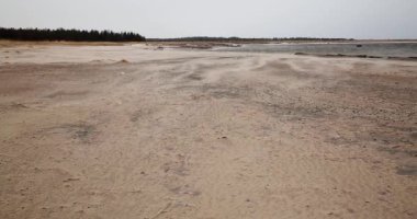 Kumsalda kum tepeleri rüzgarlı havada, rüzgarda kum hareketleri, Lohtaja, Finlandiya.