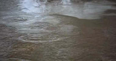 Vantaankoski, Vantaa, Finlandiya 'nın akarsularından geçen bir su kuşu olarak da bilinen donmuş buzlu kış nehri (Cinclus cinclus),.