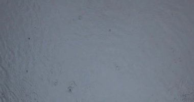 Dalgalanan yağmur damlaları yağmur mevsiminde göl yüzeyine düşer.. 