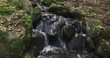 Sonbaharda etrafı yosun kaplı kayalarla çevrili küçük bir dere yere düşen yapraklarla, Nuuksio Ulusal Parkı, Finlandiya. 