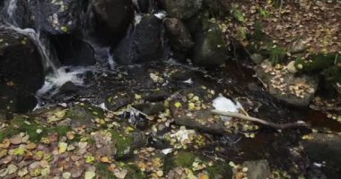 Sonbaharda etrafı yosun kaplı kayalarla çevrili küçük bir dere yere düşen yapraklarla, Nuuksio Ulusal Parkı, Finlandiya. 
