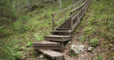 Sonbaharda ormandaki ahşap merdivenli doğa yolu yere düşen yapraklarla, Nuuksio Ulusal Parkı, Finlandiya. 