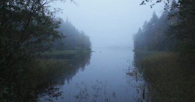 Sonbaharda sisli bir günde göl kıyısı manzarası, Liesjarvi Ulusal Parkı, Finlandiya.