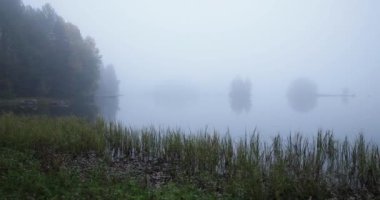 Sonbaharda sisli bir günde göl kıyısı manzarası, Liesjarvi Ulusal Parkı, Finlandiya.