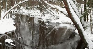 Nehir yüzeyi Espoo, Finlandiya 'daki Brobackaan nehrinin kış manzarası.