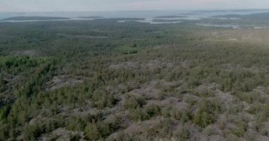 Yazın Kasberg 'den Finlandiya, Ahvenanmaa, Saltvik' te hava manzarası.