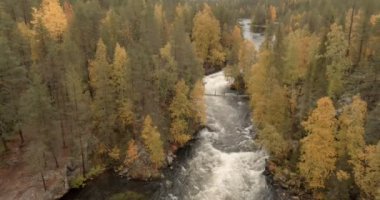 Sonbaharda Oulanka Ulusal Parkı, Kuusamo, Finlandiya 'da Myllykoski nehri ve asma köprü manzarası.