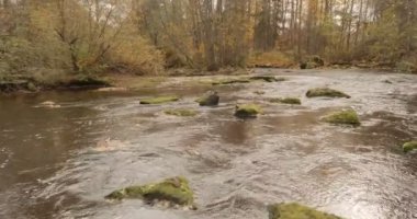 Nukarinkoski 'nin sonbaharda Nukari, Nurmijarvi, Finlandiya' da Vantaanjoki nehrindeki yüksek akıntıların havadan görünüşü.