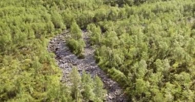 Yazın E8 Nordlysveien yolu üzerindeki Galggojohka nehrinin havadan görünüşü, Storfjord, Troms og Finnmark, Norveç. 