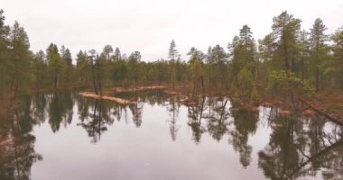 Göl ve ağaçların hava manzarası bulutlu bahar havasında ormanda su yüzeyine yansıyor..